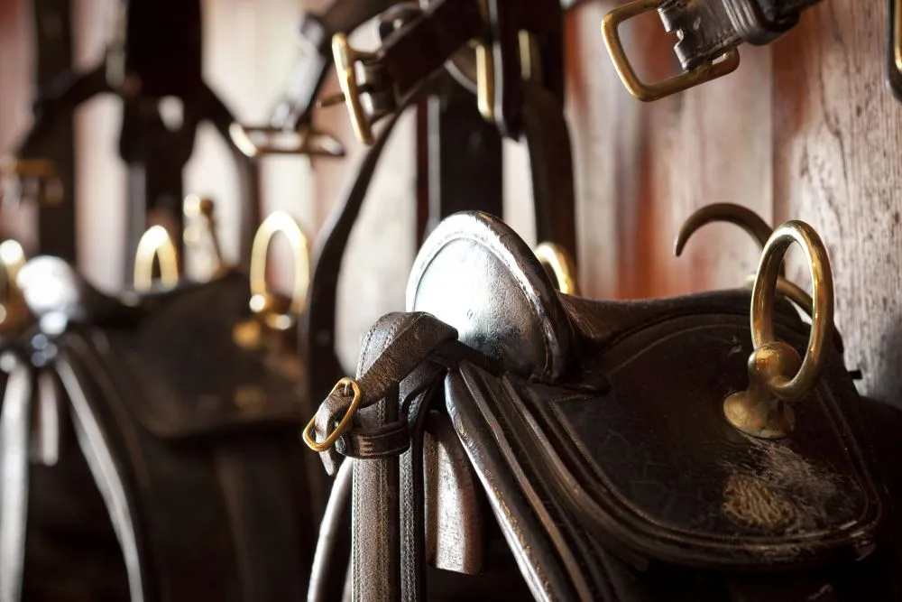 Black leather saddles with golden stirrups lined up in a stable, lit by natural light