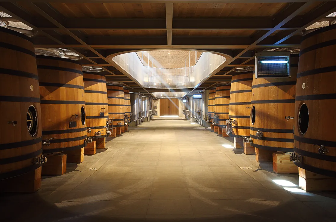 Interior of a wine cellar featuring wooden barrels symmetrically arranged on both sides of a central aisle, lit by modern ceiling lighting fixtures.
