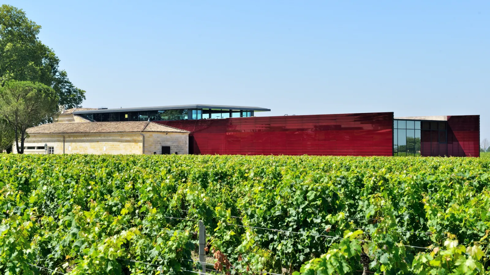 The Red Terrace in Bordeaux, a modern building with red and glass facades, extended from an old stone structure, surrounded by vineyards.