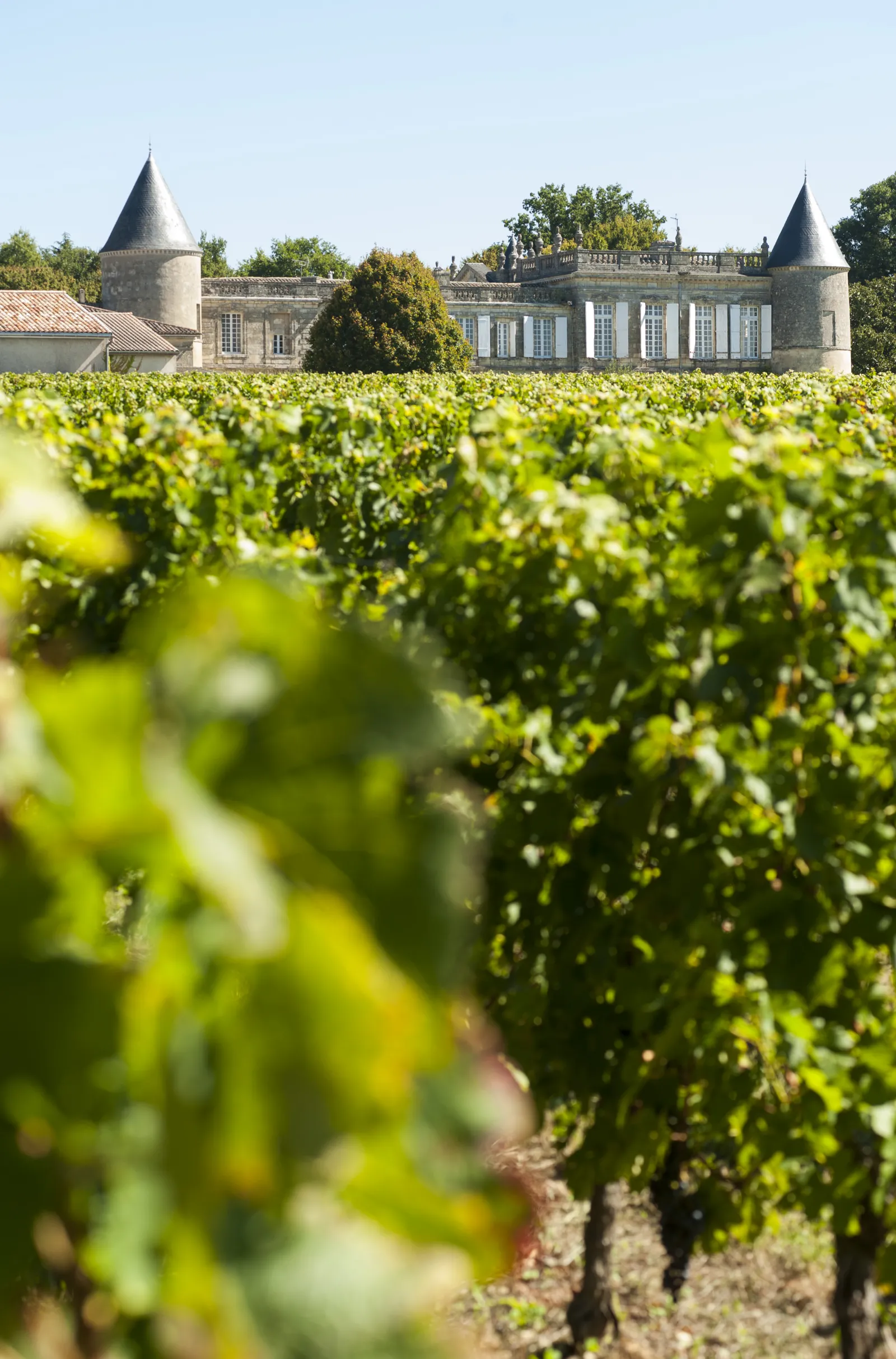 View of Pichon Longueville Castle seen through Medoc vineyard rows, featuring its distinctive twin conical towers and white mansion facade.