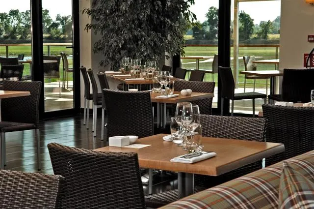 Elegant dining room with wooden tables, black wicker chairs, wine glasses, panoramic view of Bordeaux vineyards through large glass windows