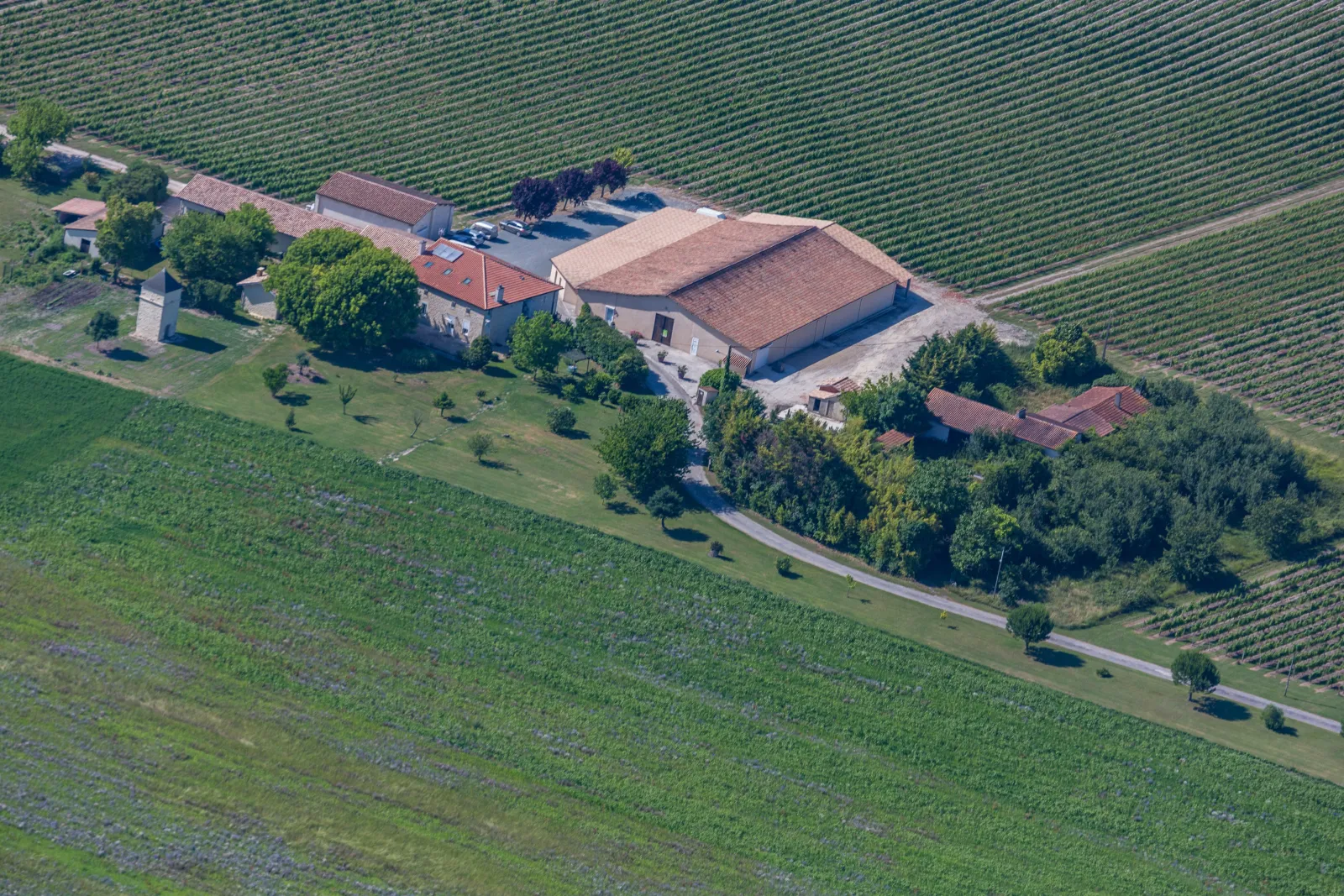 Aerial view of Château Pierre de Montignac near Bordeaux, a wine estate with farm buildings, vineyard terraces and tree-lined driveway
