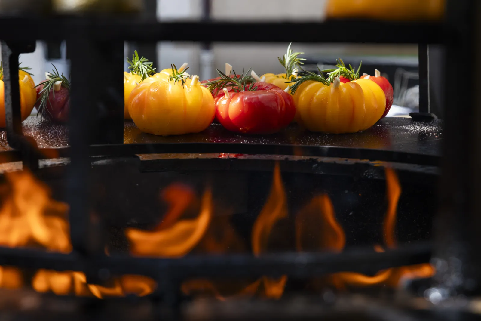 Yellow and red tomatoes topped with rosemary being grilled on a hot plate above open flames at Lafaurie Terrace in Bordeaux.