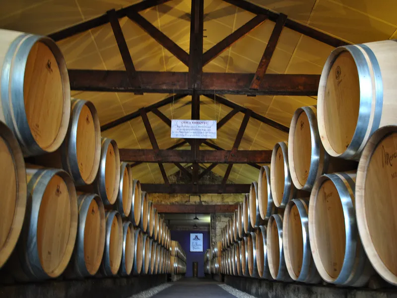 Interior of a wine cellar with oak barrels lined on both sides of a central aisle, beneath a heavy wooden structure with exposed beams, at Cave La Rose Pauillac in Bordeaux.