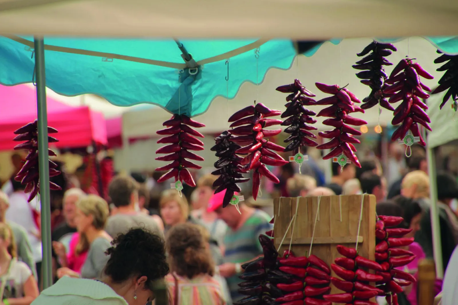 Bunches of red chili peppers hanging under a turquoise awning at an outdoor market in Bordeaux, with blurred visitors in the background.