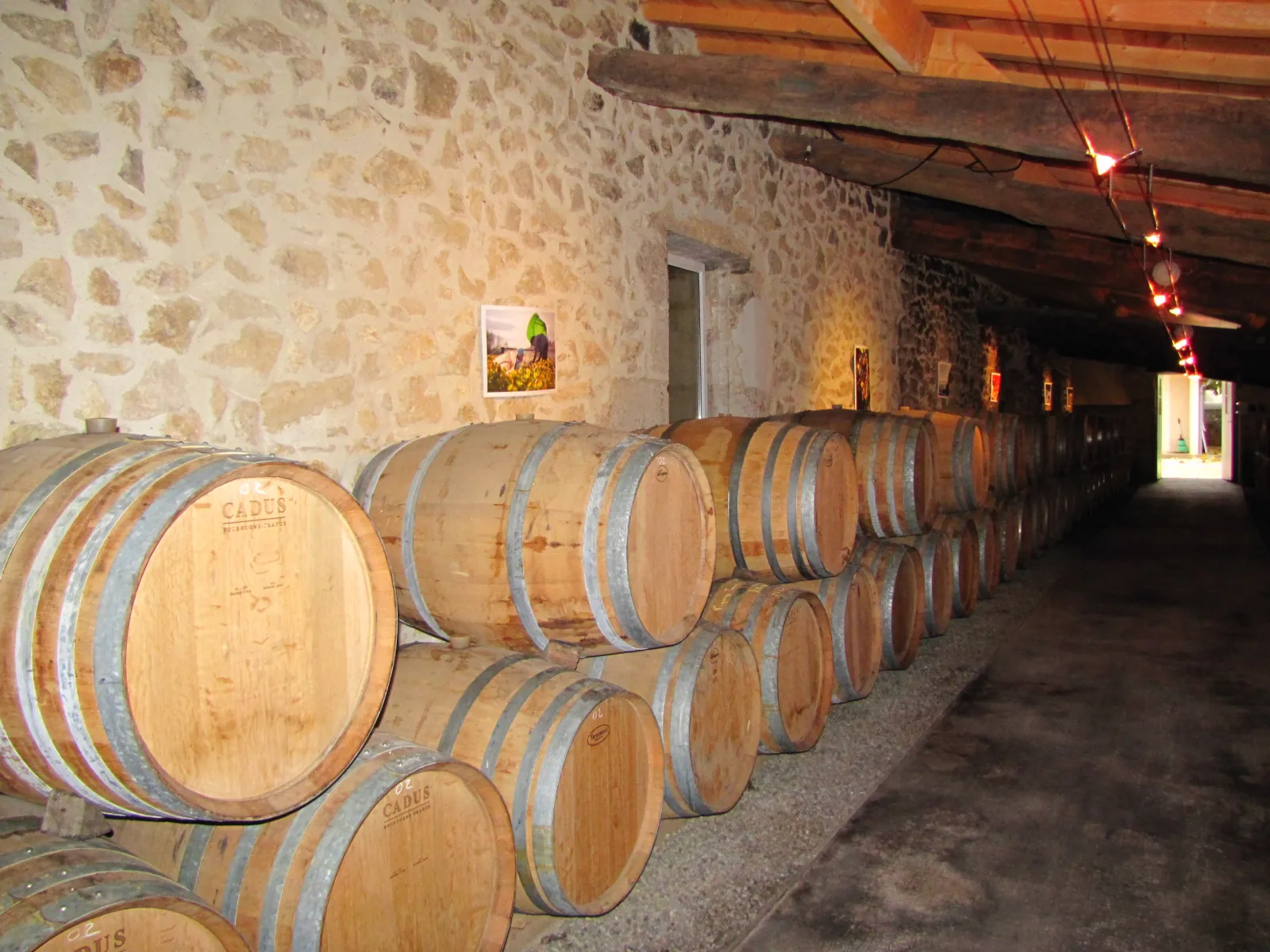 Row of wooden oak barrels lined up in a stone-vaulted cellar of Château Haut-Bergeron in Bordeaux, with ambient lighting and cut stone walls.