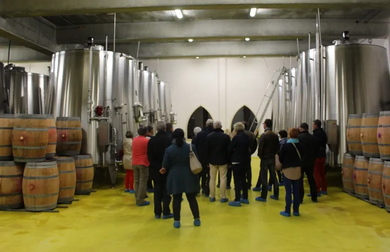 Group tour in the winemaking cellar of Château Marquis de Vauban in Bordeaux, featuring stainless steel vats and wooden barrels