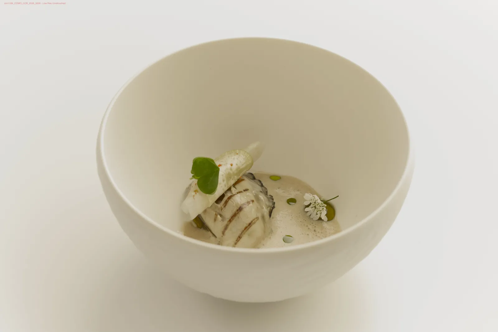 Fine dining dish from Cordeillan in Bordeaux: white fish fillet salt-baked, served in a white bowl with microgreens and salted caramel.