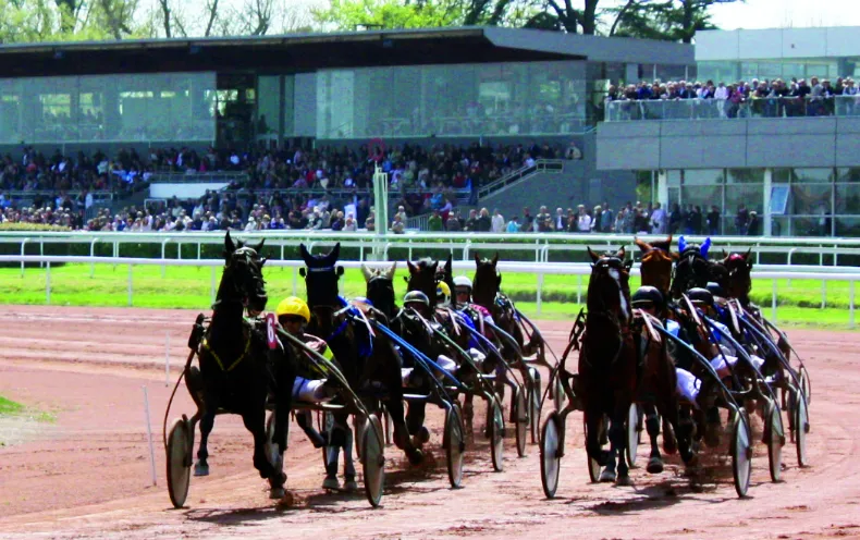 Harness racing horses pulling sulkies at Bordeaux-Le Bouscat racecourse with spectators in the grandstands.