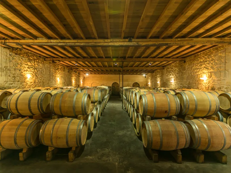 Interior of a wine cellar with rows of wooden barrels symmetrically arranged under a wooden beam ceiling, lit by spotlights, in Bordeaux.