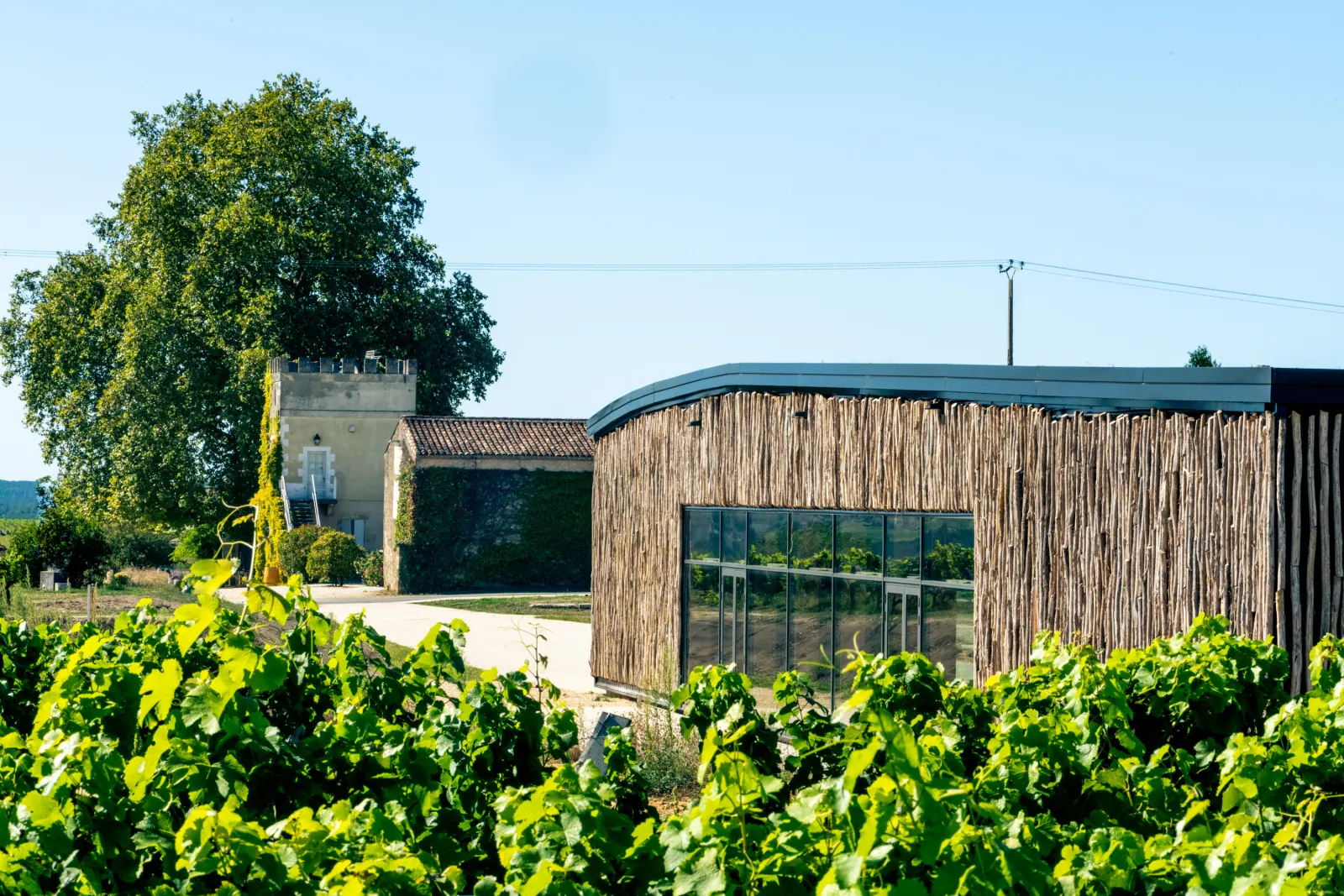 Château d'Arche in Bordeaux with vineyards in the foreground, modern wooden and glass building next to a historic tower under clear blue sky