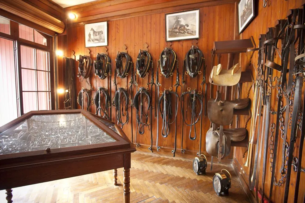 Interior of the Horse Museum in Bordeaux displaying a collection of saddles, harnesses and equestrian equipment mounted on wooden walls, with equestrian engravings and display cases.