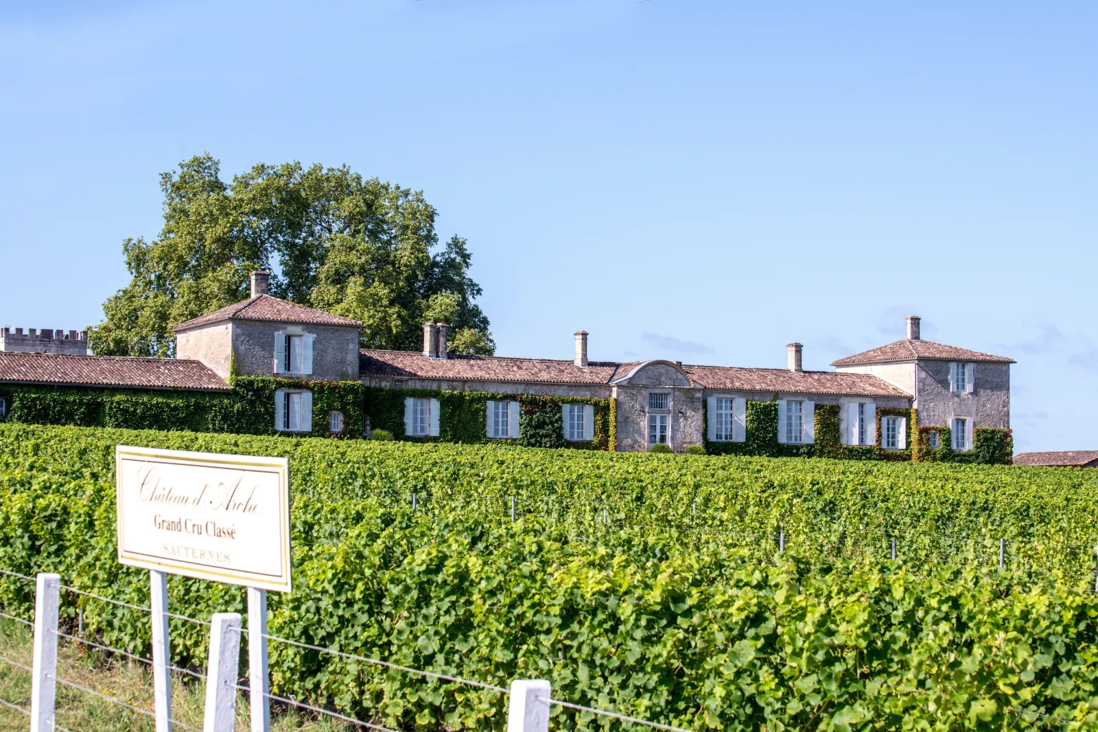 Château d'Arche in Bordeaux with vineyard in foreground, stone building with tiled roof and Grand Cru Classé sign