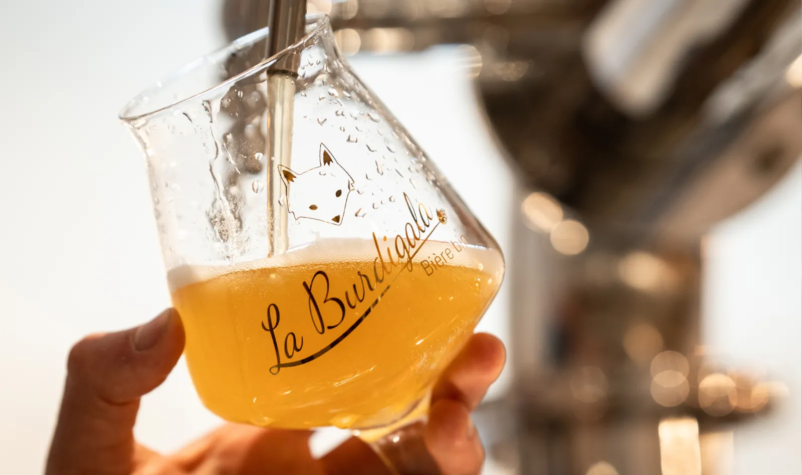 Glass of La Burdigalla craft beer with golden blonde liquid and condensation droplets, held in hand against bright sunlight