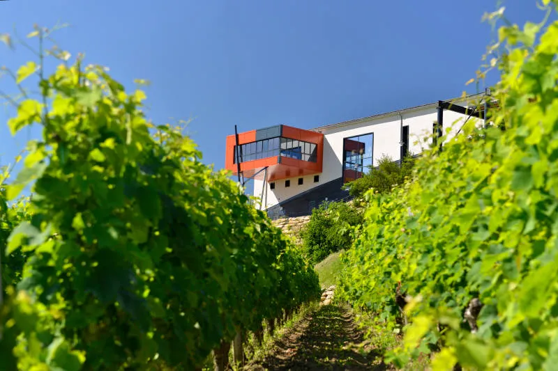 Modern winery building with orange and white facades overlooking lush green vineyard rows in Bordeaux wine region.
