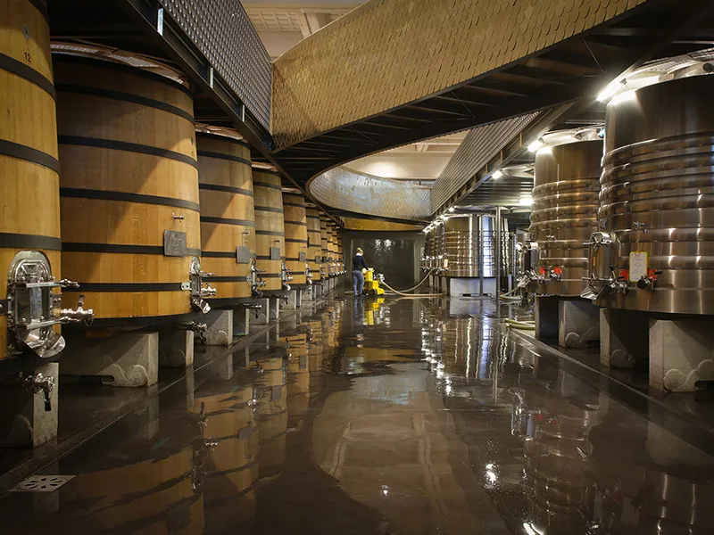Wine cellar of Château Marquis d'Alesme Becker in Bordeaux featuring wooden and stainless steel fermentation tanks lined along a wet corridor with tasting taps.