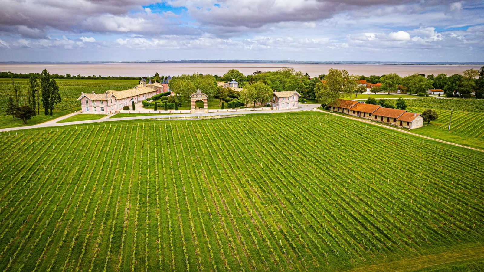 Aerial view of Château Loudenne near Bordeaux, featuring pink buildings surrounded by lush green vineyards, cypress trees, and overlooking the Gironde estuary.