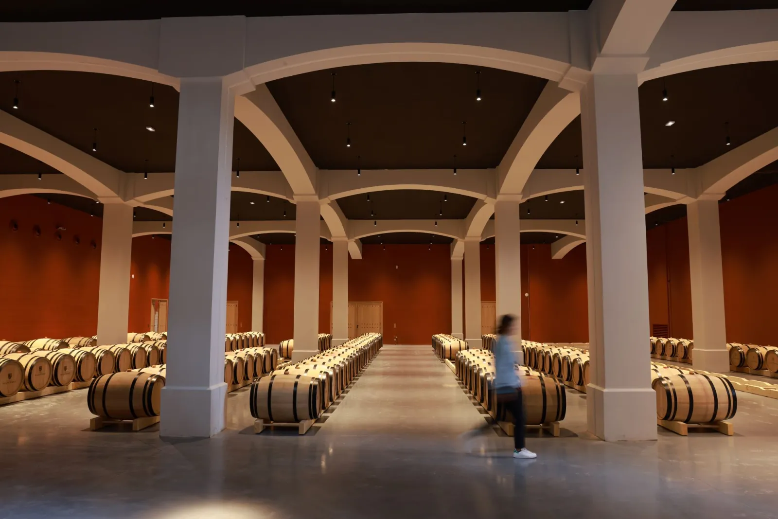 Aging cellar of Château Plain Point in Bordeaux featuring rows of wooden barrels lined up beneath a modern arched ceiling with white vaults and terracotta-colored walls, with a visitor walking through the center