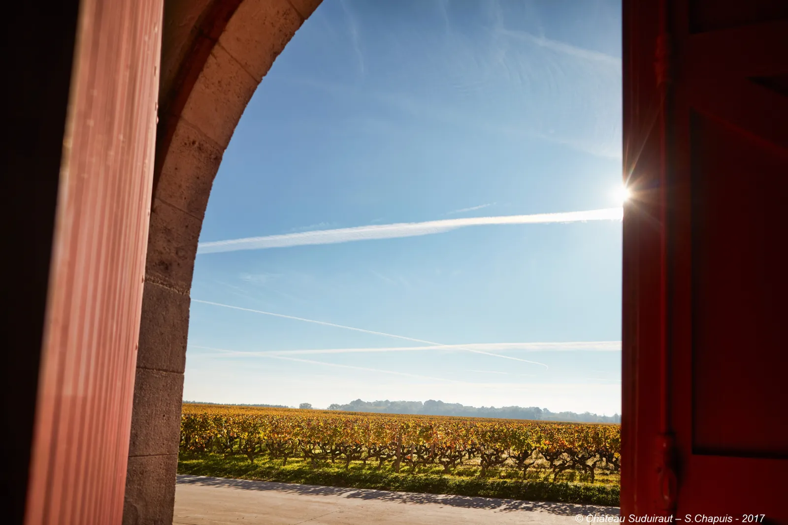 View through an open doorway of a Bordeaux vineyard from a château under clear blue sky with contrails
