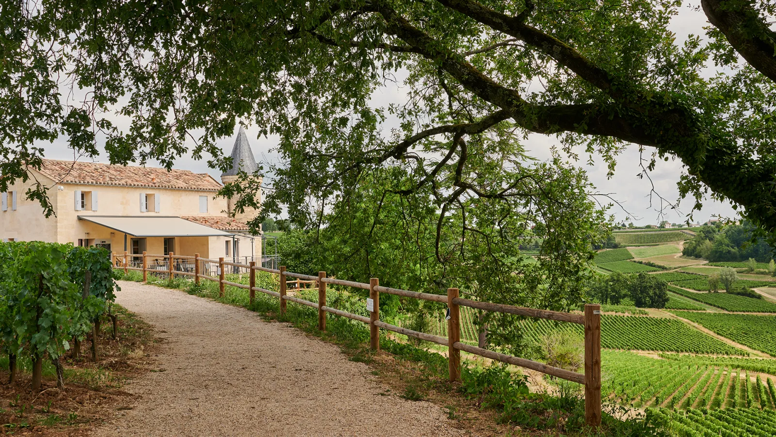 Château Tour Baladoz surrounded by vineyard terraces, with a wooden-fenced pathway leading to the yellow stone mansion featuring a conical tower, overlooking rolling vineyards.