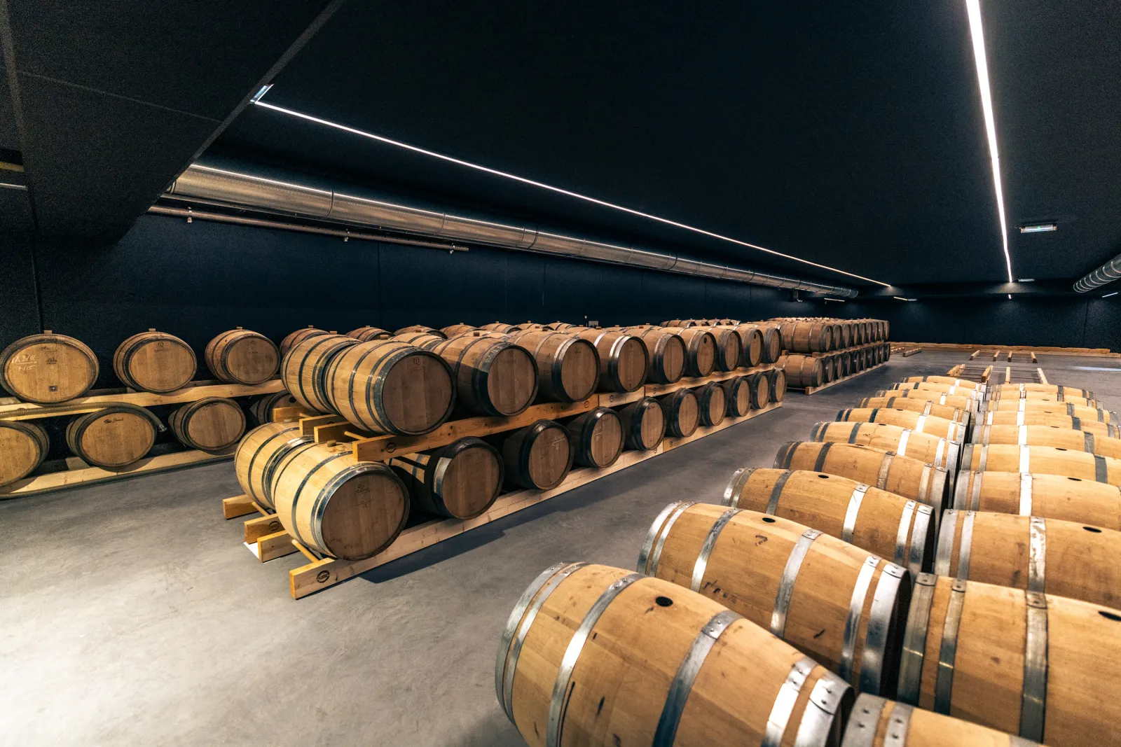 Aging cellar at Château d'Arche in Bordeaux featuring rows of wooden barrels lined up under modern lighting