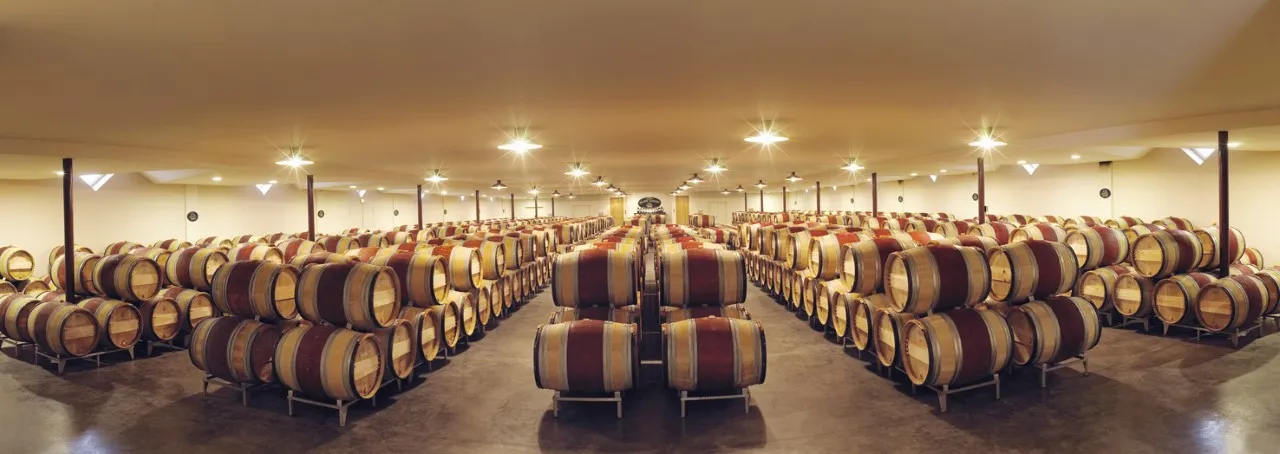 Large underground cellar at Château Malartic-Lagravière in Bordeaux featuring hundreds of oak barrels arranged in orderly rows under modern LED lighting.