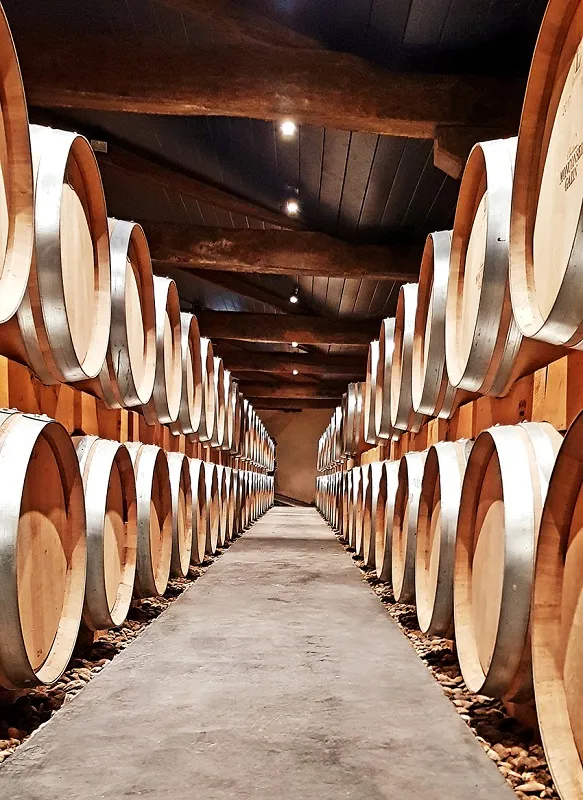 Rows of oak barrels lined up in a wine cellar at Château Monconseil-Gazin in Bordeaux, beneath a dark wooden ceiling with subtle lighting.
