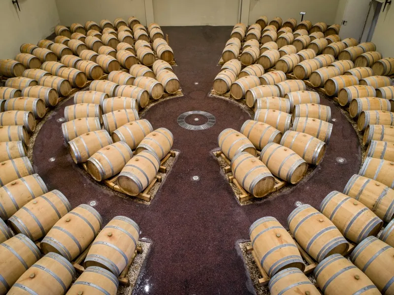 Wine aging cellar with numerous oak barrels symmetrically arranged on terracotta floor at Château du Lort in Bordeaux
