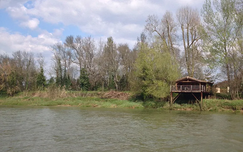 Wooden huts on stilts along the Garonne River at Île d'Arcins near Bordeaux, surrounded by deciduous trees