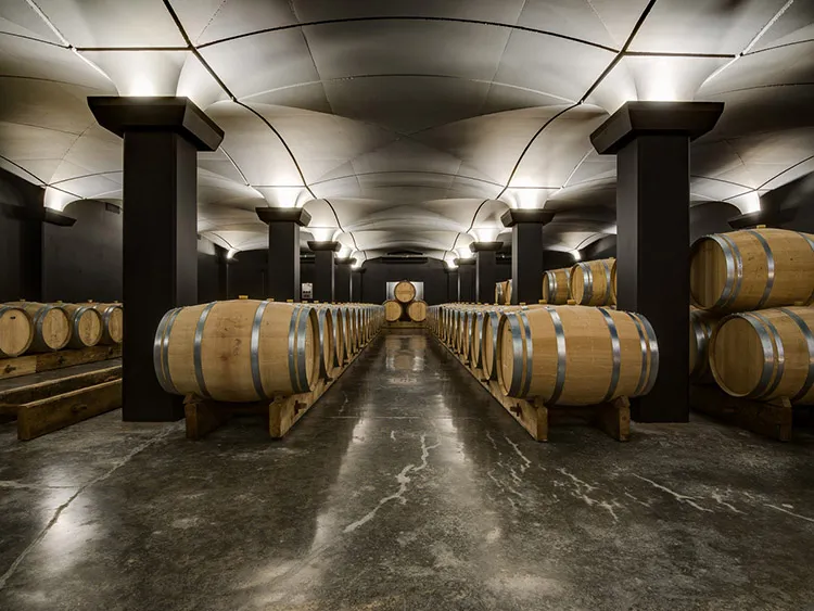 Underground cellar of Château Tour Saint Christophe in Bordeaux featuring symmetrical rows of oak barrels lining both sides of a central aisle, beneath a modern vaulted ceiling with black pillars.
