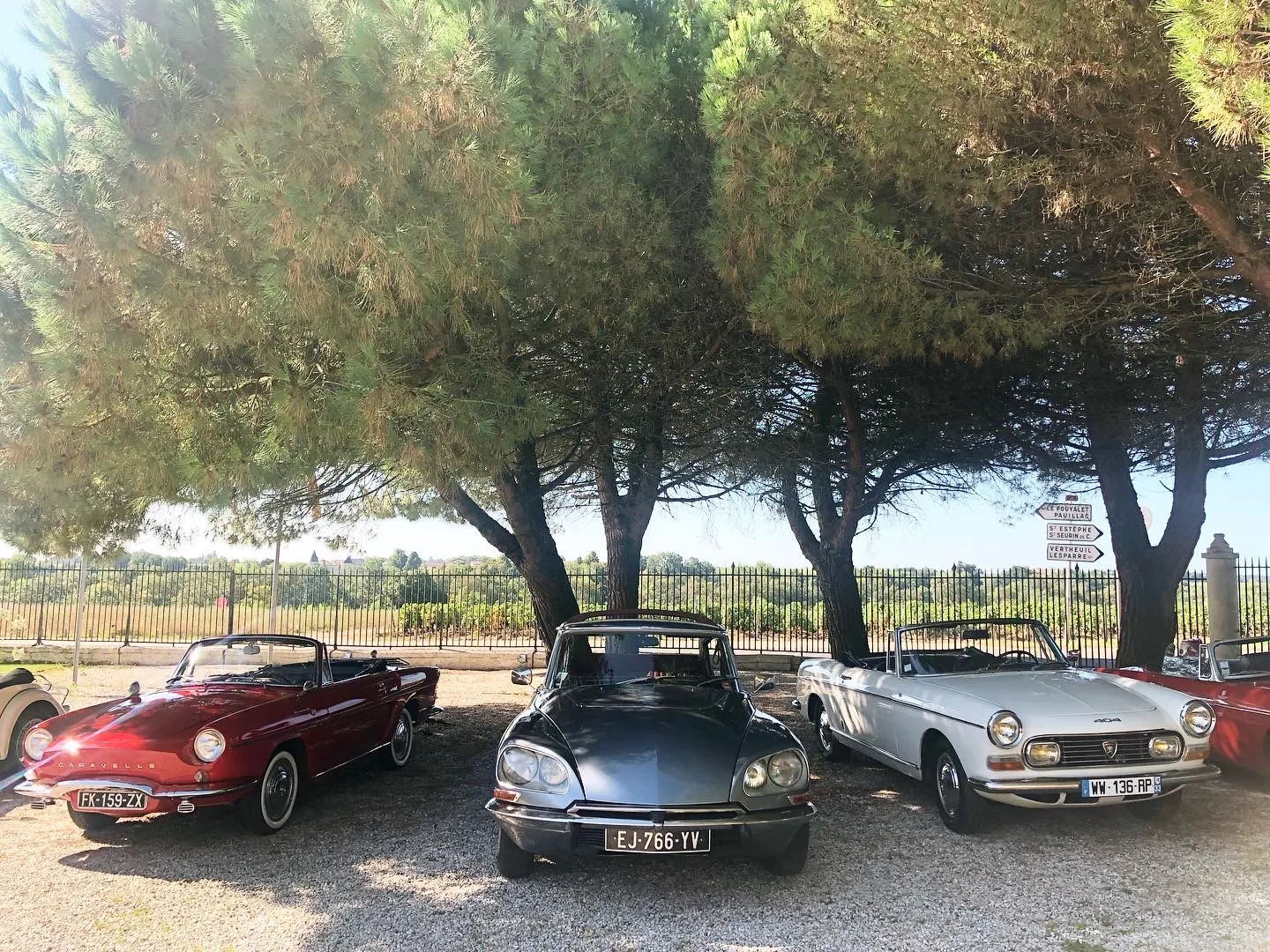 Three classic cars parked under stone pines in Bordeaux: a red Porsche 356 cabriolet, a black Citroën DS, and a grey Peugeot 504 cabriolet, with a fence and trees in the background