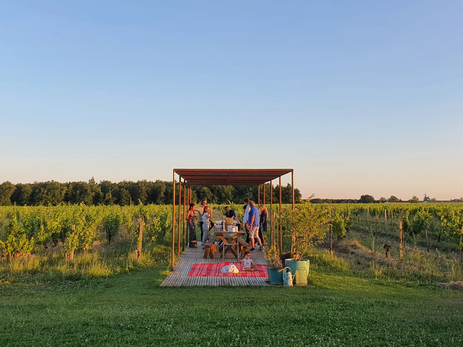 Group of people gathered under a metal pergola in the vineyards of Château Hourtin-Ducasse near Bordeaux, with rows of grapevines extending to the horizon.