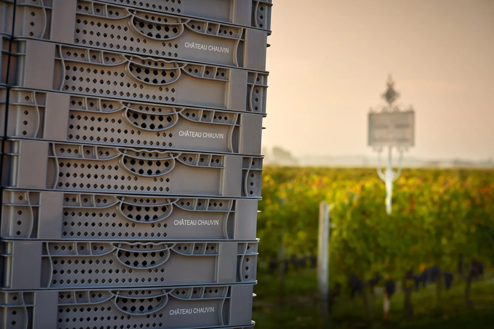 Stacked grape crates from Château Chauvin with Bordeaux vineyards in the background