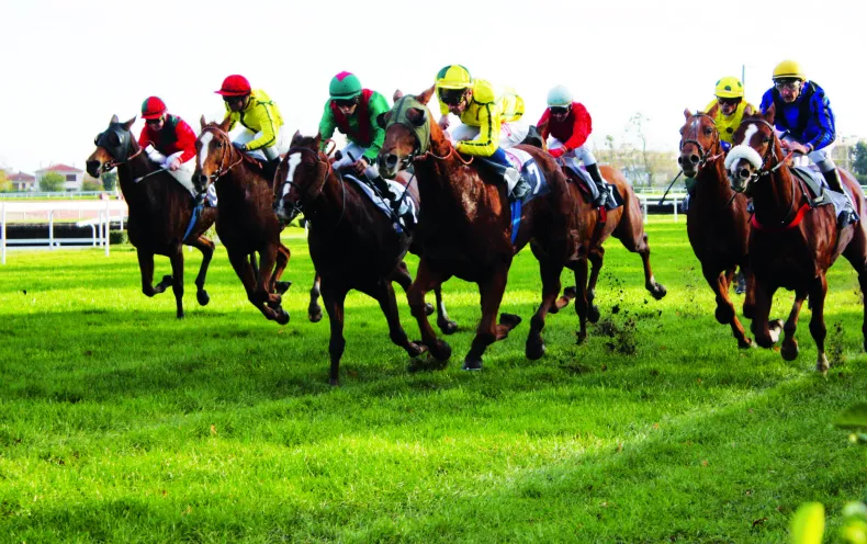 Horse racing at Bordeaux-Le Bouscat racecourse with multiple jockeys in bright colors galloping across a green grass track.