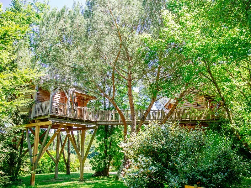 Wooden treehouses connected by bridges nestled among lush green trees at EcÔtelia Domain in Bordeaux.