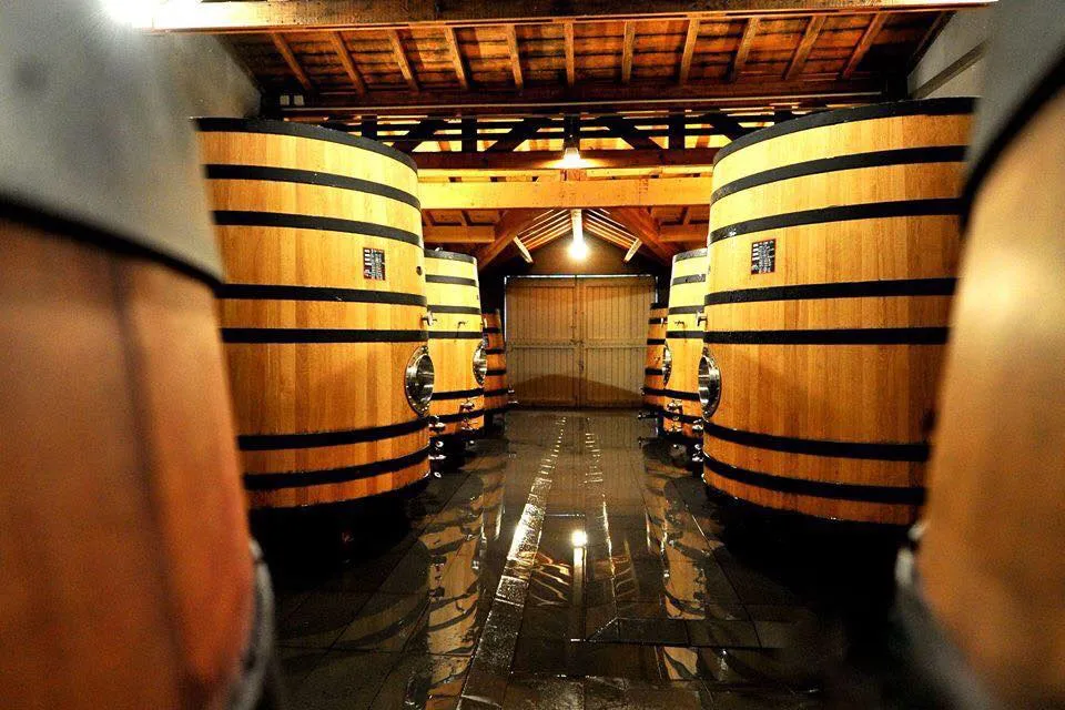 Interior of a wine cellar featuring four large oak barrels with yellow and black bands arranged symmetrically along a central corridor, with exposed wooden beams in the ceiling, in Bordeaux.