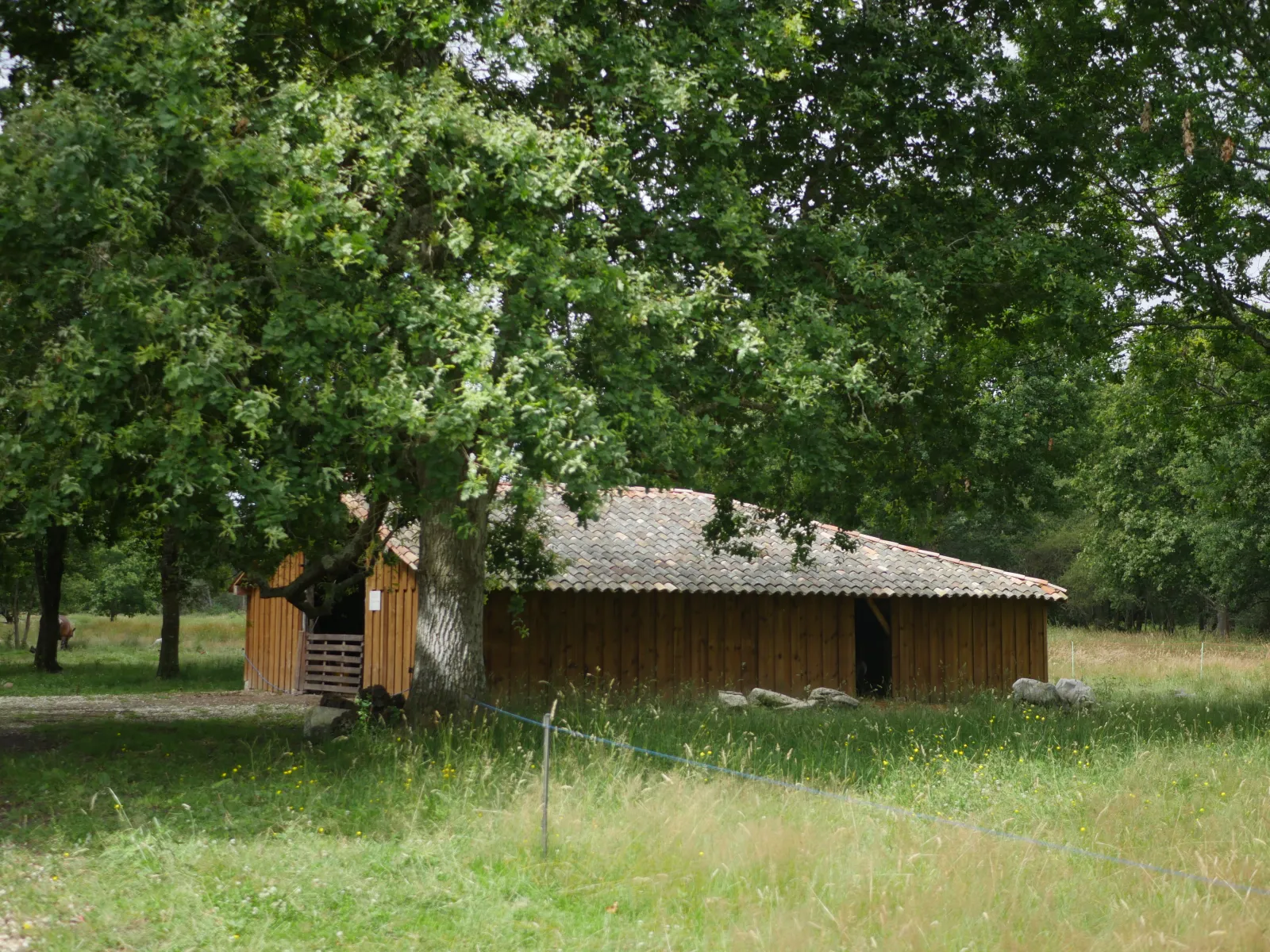 The Bergerie des Matruques in Bordeaux, a wooden building with tiled roof surrounded by ancient oak trees and wild grass