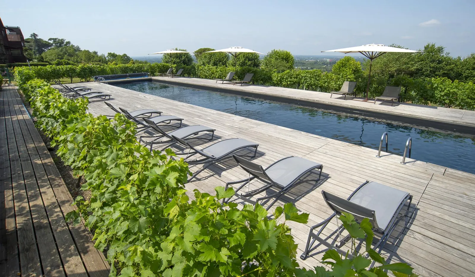 Luxury outdoor swimming pool with lounge chairs, wooden deck, ornamental vines, white umbrellas, and panoramic view of Bordeaux vineyards at Le Saint-James hotel