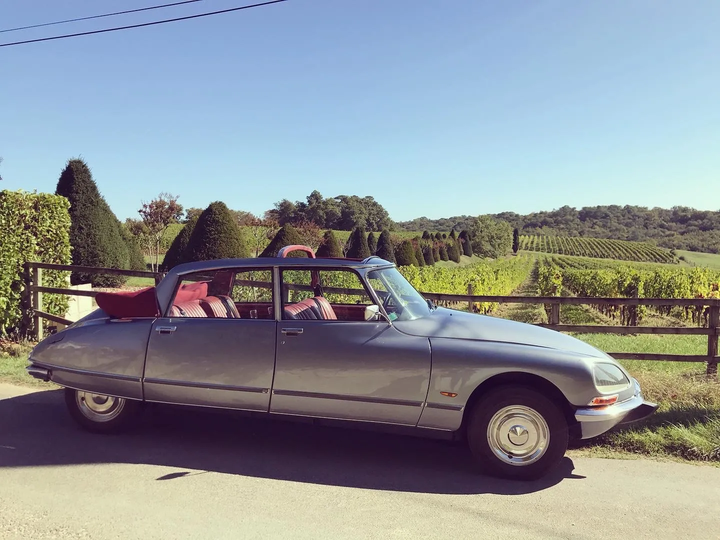 Gray Citroën DS with open door parked in front of Bordeaux vineyards and trimmed cypress trees on a sunny day.