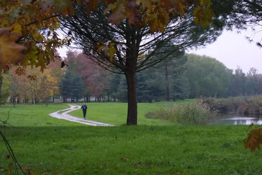 Park pathway in the Bois de Bordeaux with winding trail, large tree in foreground, green lawn, autumn trees and small stream in background