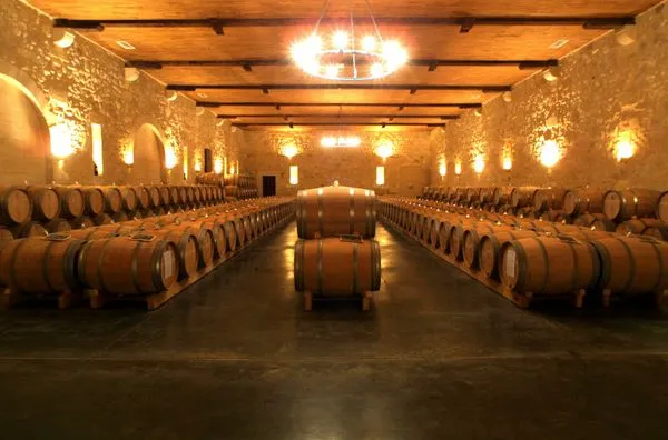 Wine cellar of Château d'Agassac in Bordeaux featuring rows of oak barrels symmetrically arranged beneath a wooden ceiling lit by warm spotlights.