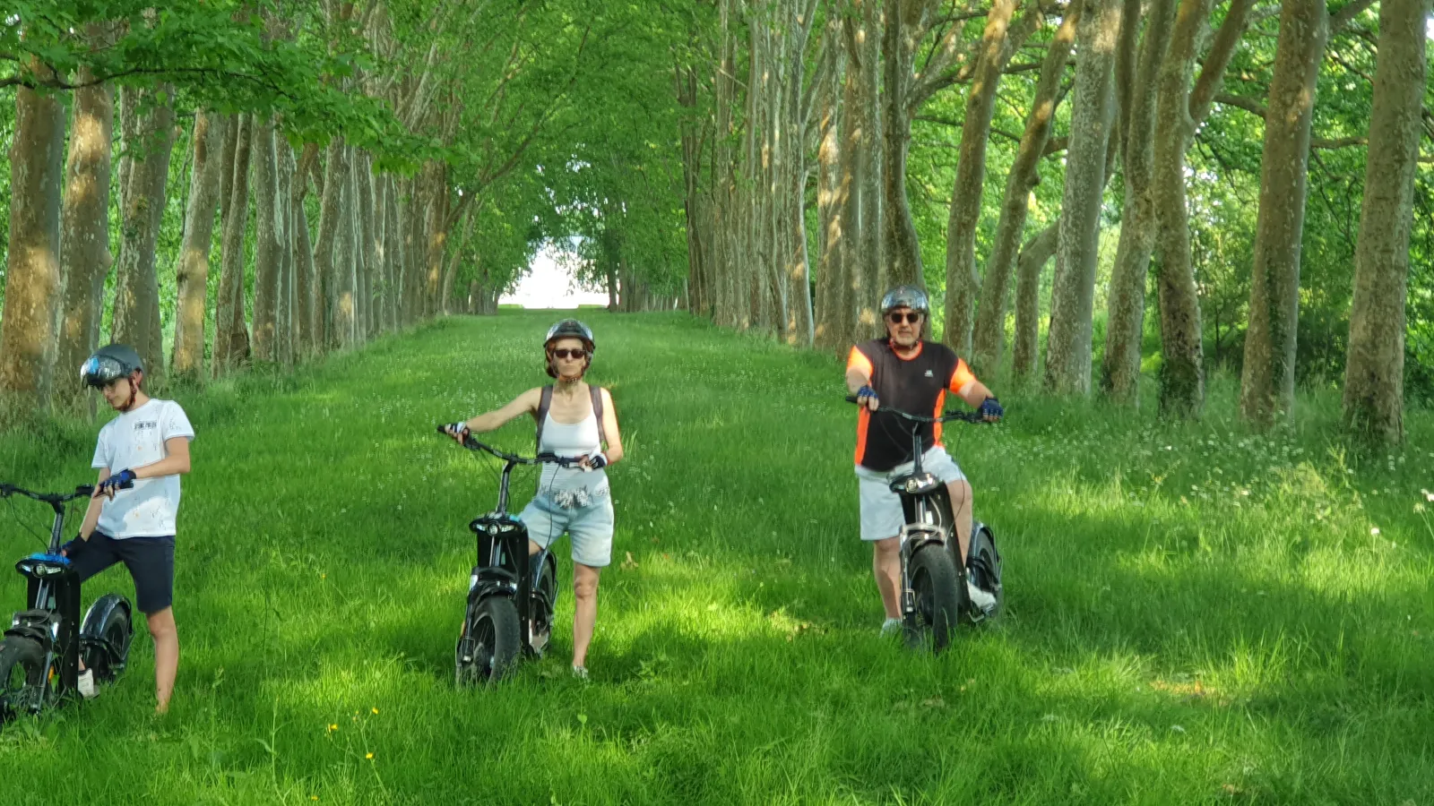Three people riding electric bikes on a grassy path lined with two rows of tall trees in Bordeaux