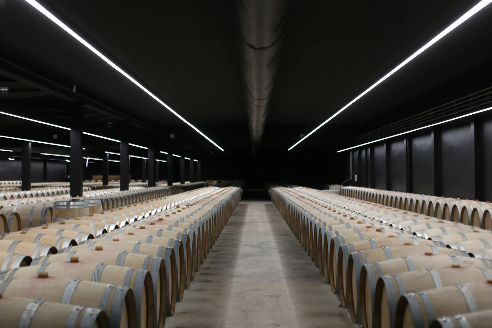 Wine aging cellar at Château Larose-Trintaudon in Bordeaux featuring hundreds of oak barrels lined up under modern lighting for wine maturation.