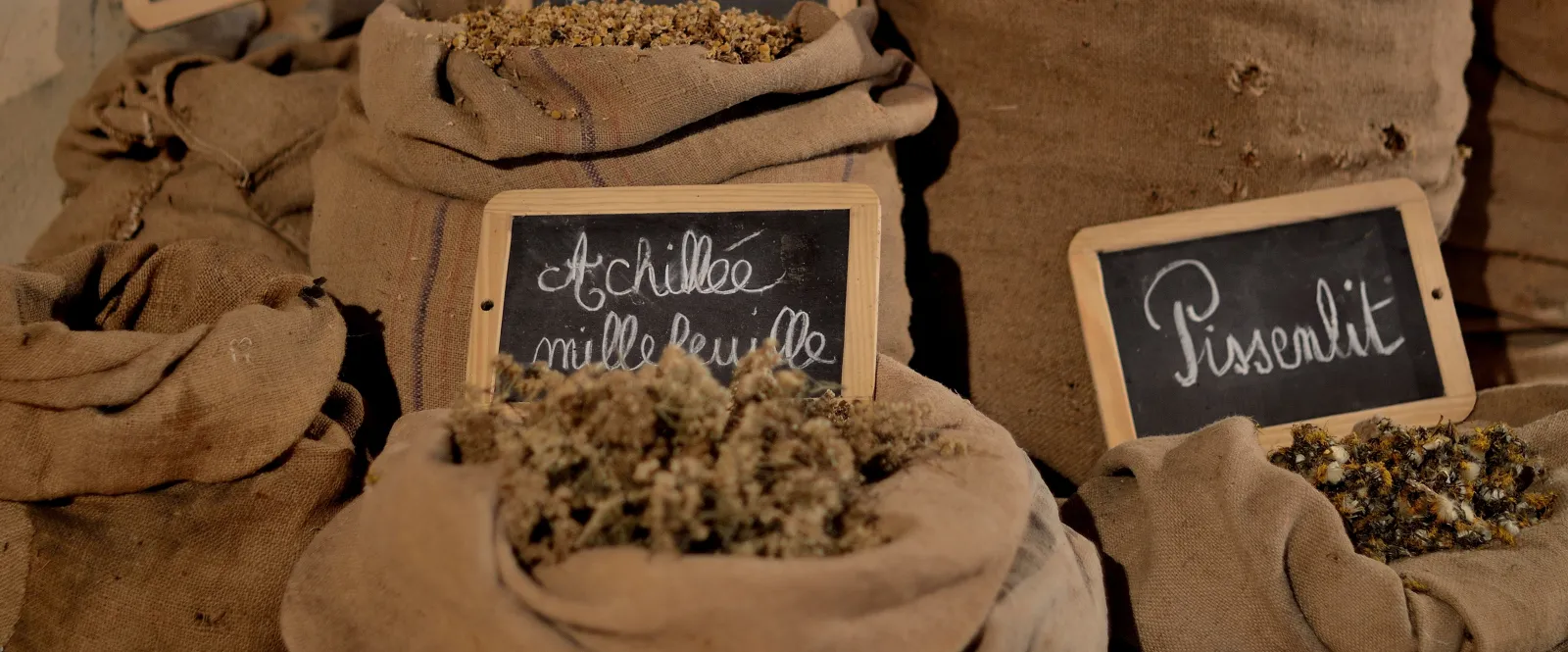 Burlap sacks containing grape seeds and winemaking ingredients labeled 'Achillee mille feuille' and 'Pissalit' at Château Climens in Bordeaux.