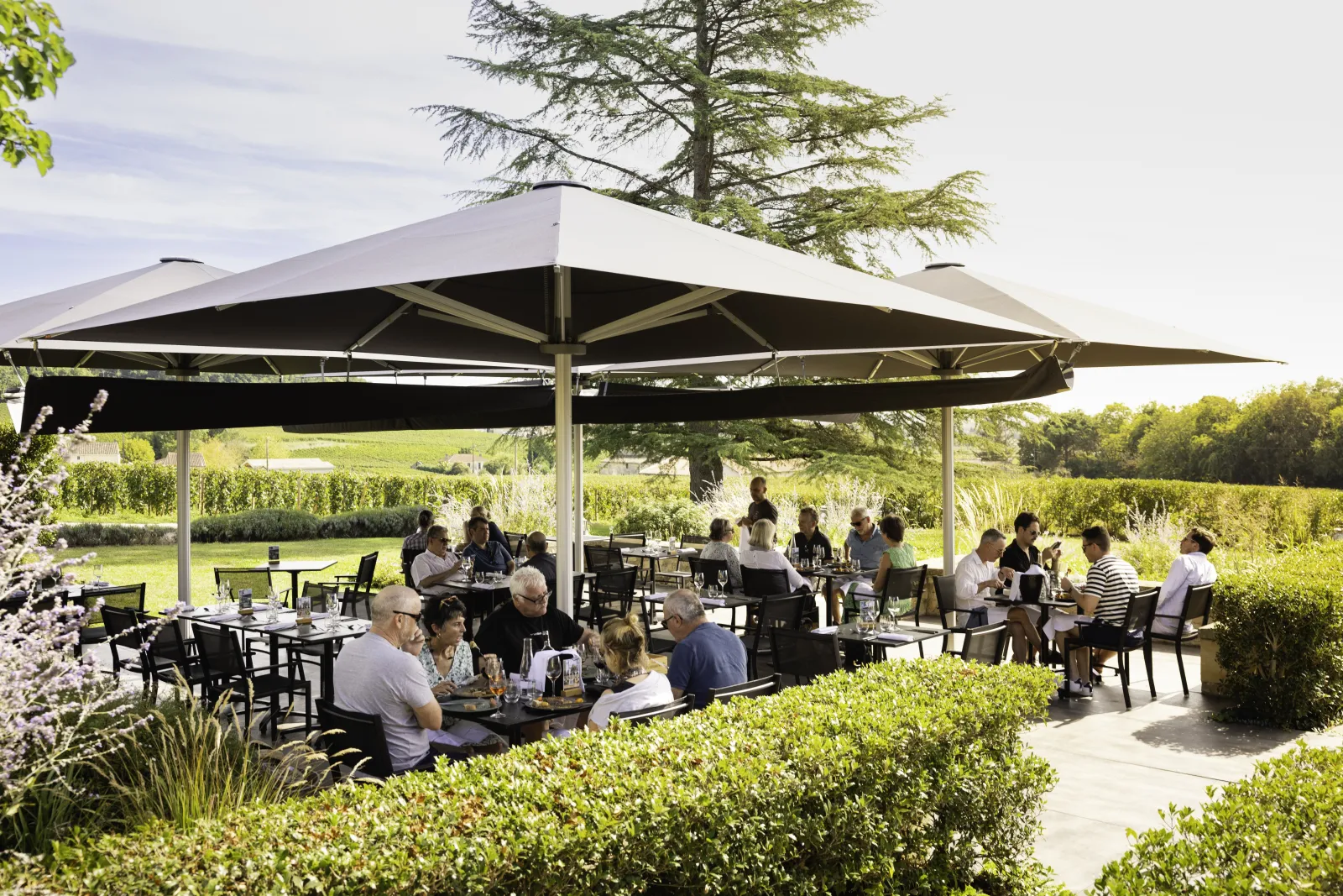 Shaded terrace of L'Atelier de Candale in Bordeaux with guests seated under a large black canopy, surrounded by greenery and vineyards in the background.