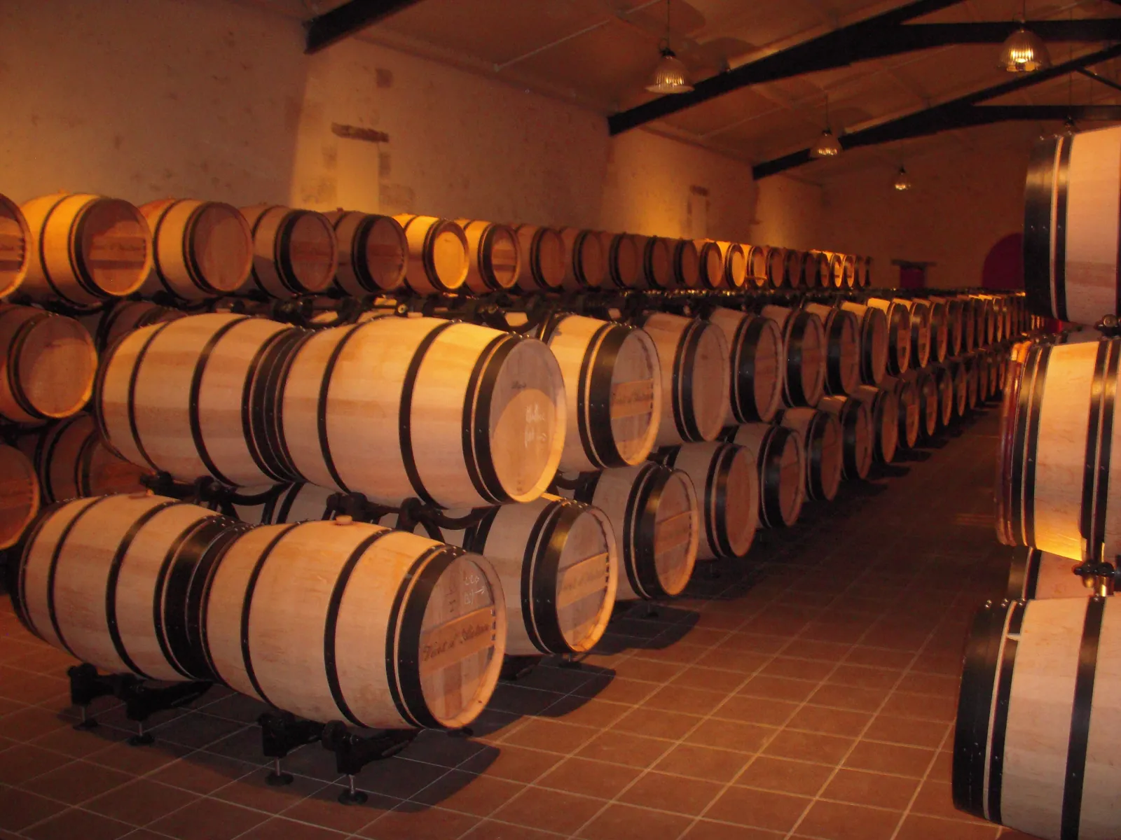 Rows of oak barrels stacked in the aging cellar of Château de Pressac in Bordeaux, bathed in golden light