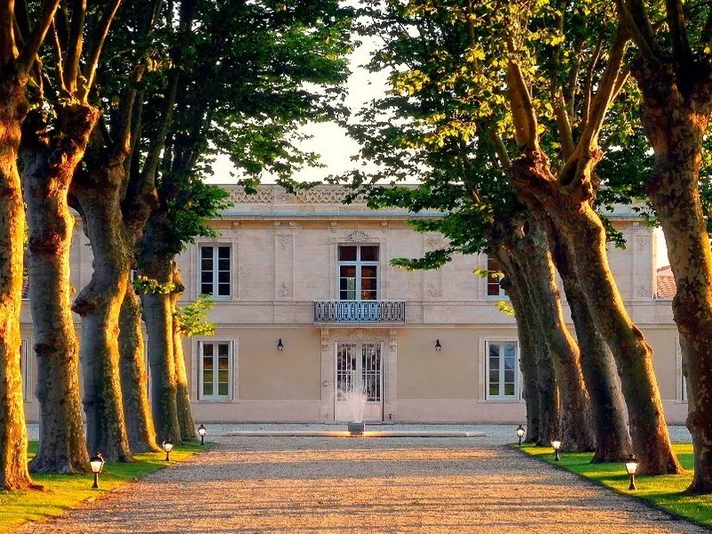 Tree-lined avenue of century-old plane trees leading to Château Haut Breton Larigaudière in Bordeaux, a classical stone building with wrought iron balcony, bathed in golden sunset light.