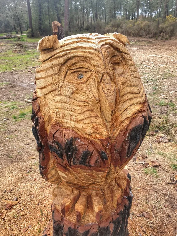 Wooden sculpture of a stylized elephant head with geometric carved patterns, located in the Peugue woodland near Bordeaux