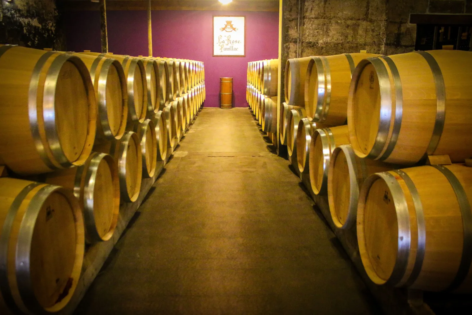Wine cellar with rows of wooden barrels bound with metal bands lined up in a corridor with pink walls, at La Rose Pauillac in Bordeaux.