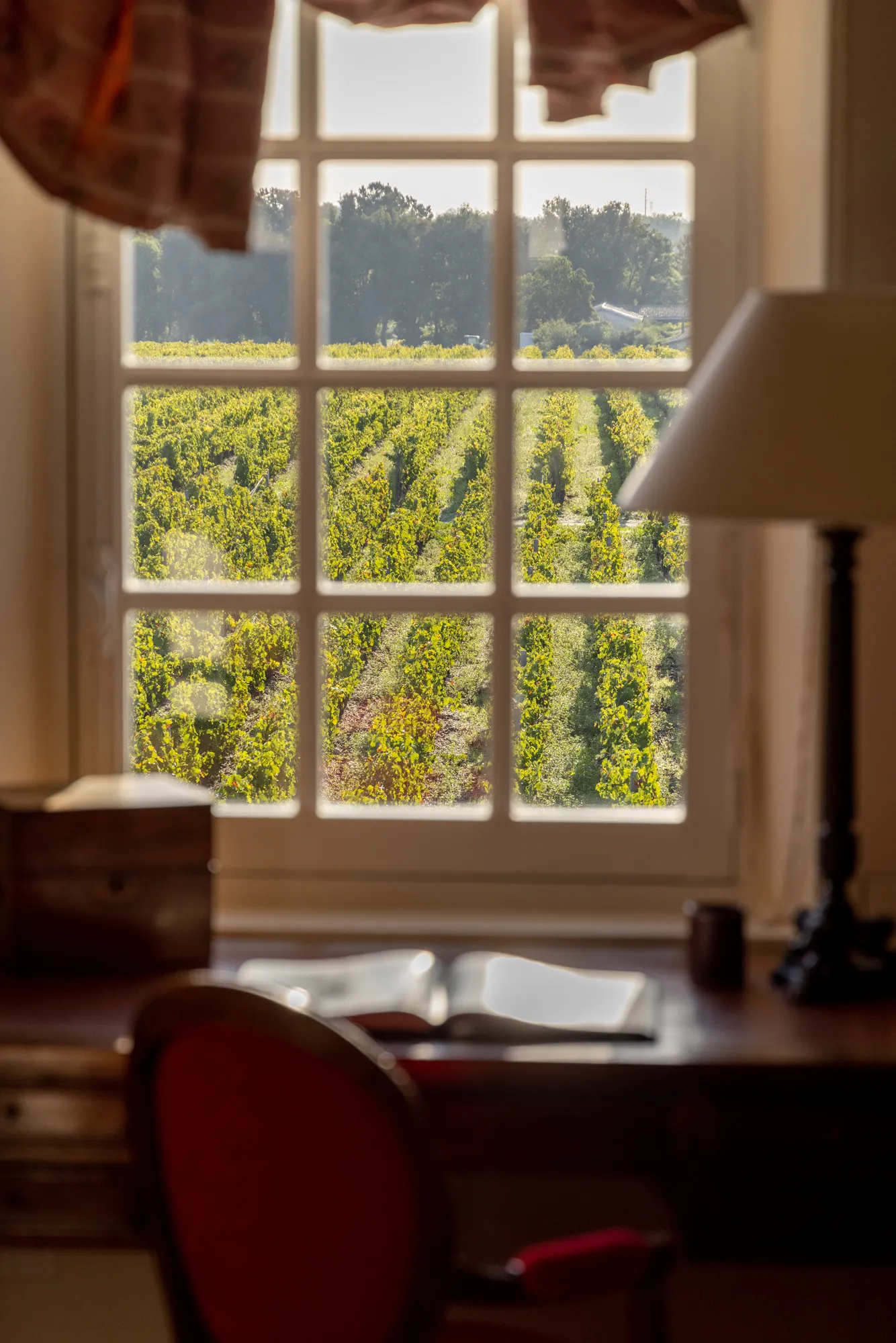 View from a mullioned window of a desk overlooking organized vineyard rows in Bordeaux, with a red armchair in the foreground and golden vines under sunlight.
